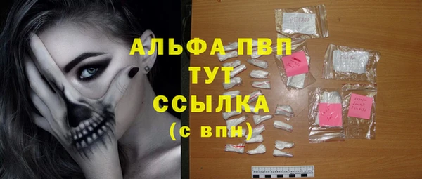 амф Чекалин