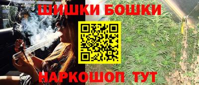 крисы Беслан