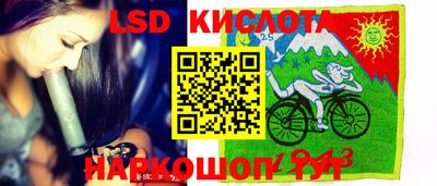 крисы Беслан